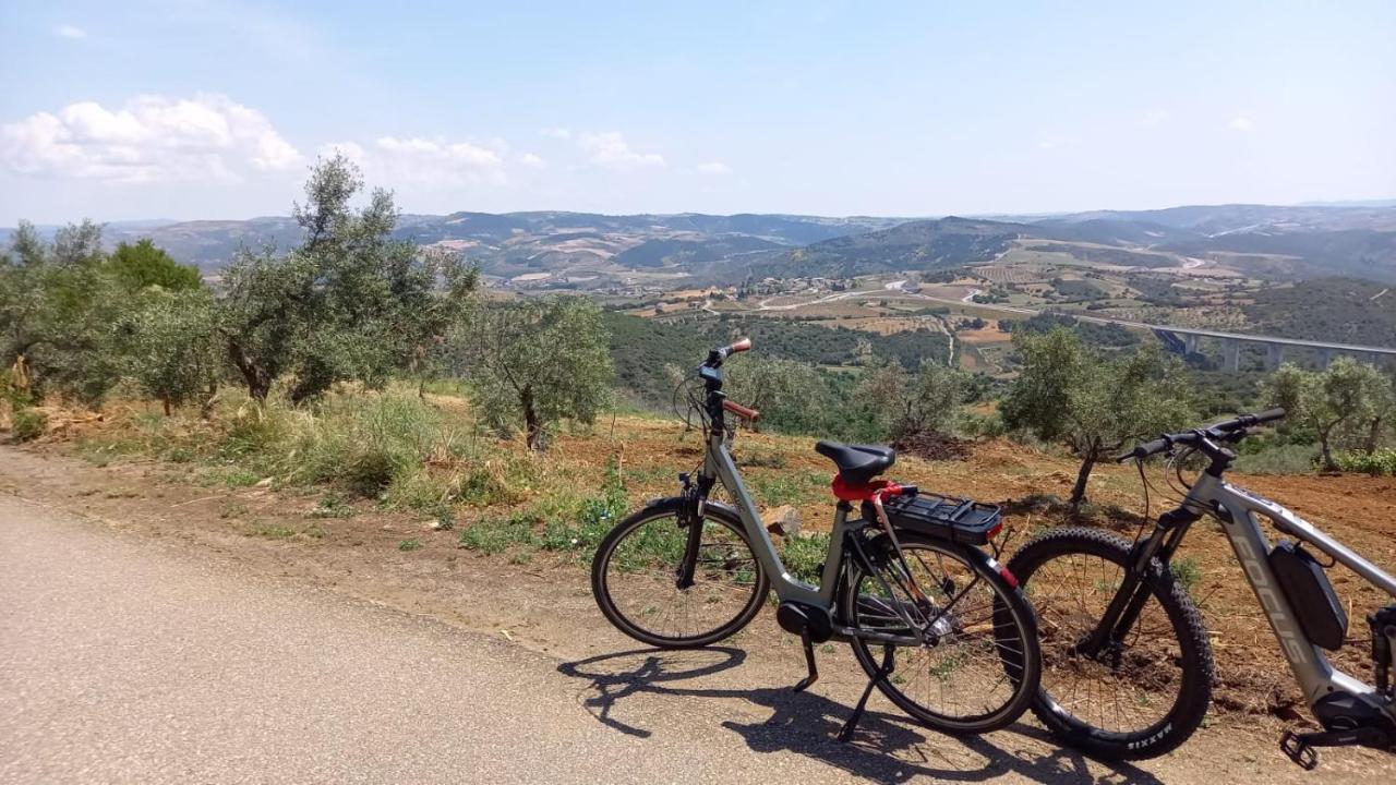 Quinta Da Vista Villa Bragança Buitenkant foto